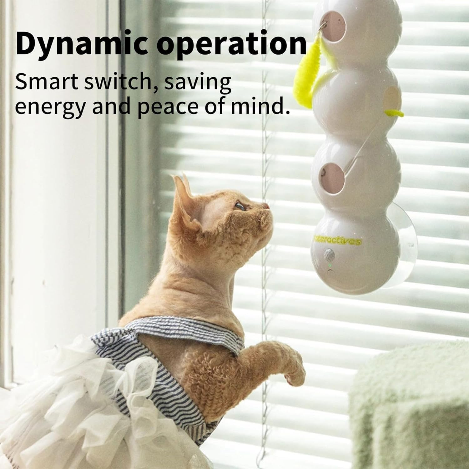Smart Cat Toy, Motion Toy with Interchangeable Head Design, Increase and Widen the Suction Cup, USB Charging, for Indoor Wall image number 4