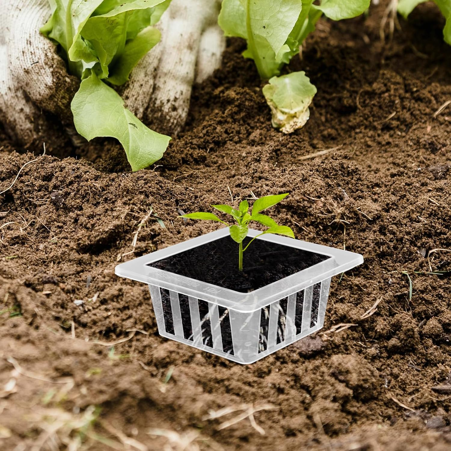 Levemolo 20Pcs Hydroponic Cups for Plants Root-Fixed Flower Pot in Mesh Baskets for Vegetable Flower Gardening image number 1