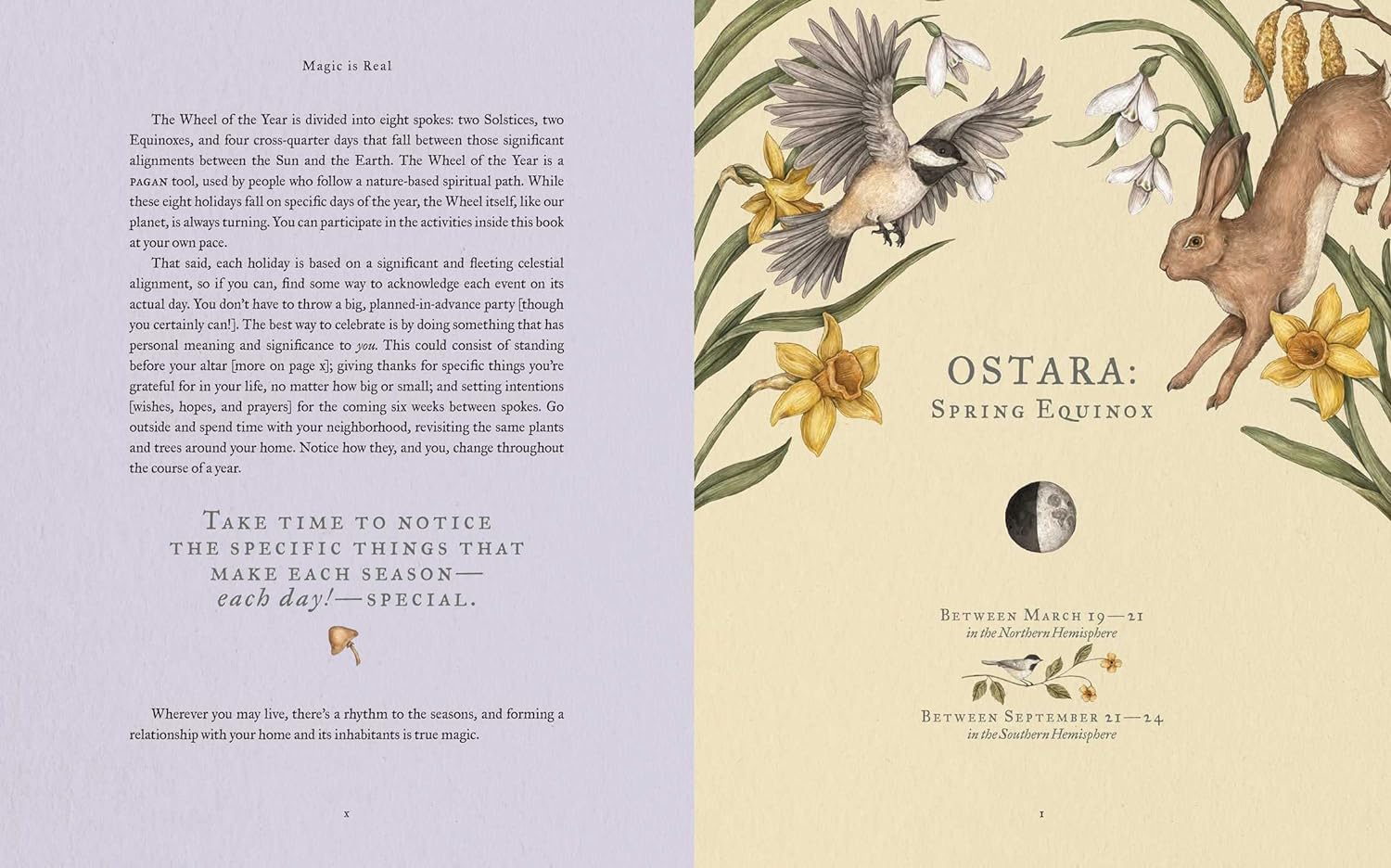 The Wheel of the Year: an Illustrated Guide to Nature'S Rhythms image number 1