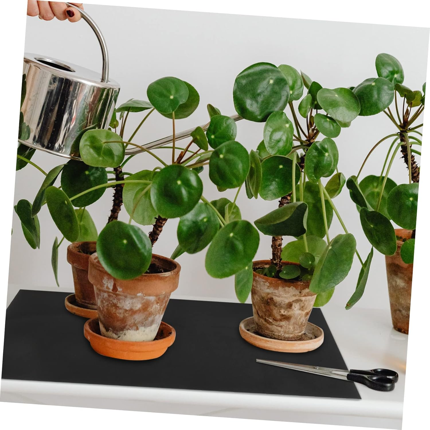 KONTONTY Capillary Mat Plant Pad for Automatic Plant System Gardening Hydroponics Supplies 1.2X1M Black Breathable Water Absorption Mat 10 Tags for Indoor and Outdoor image number 5