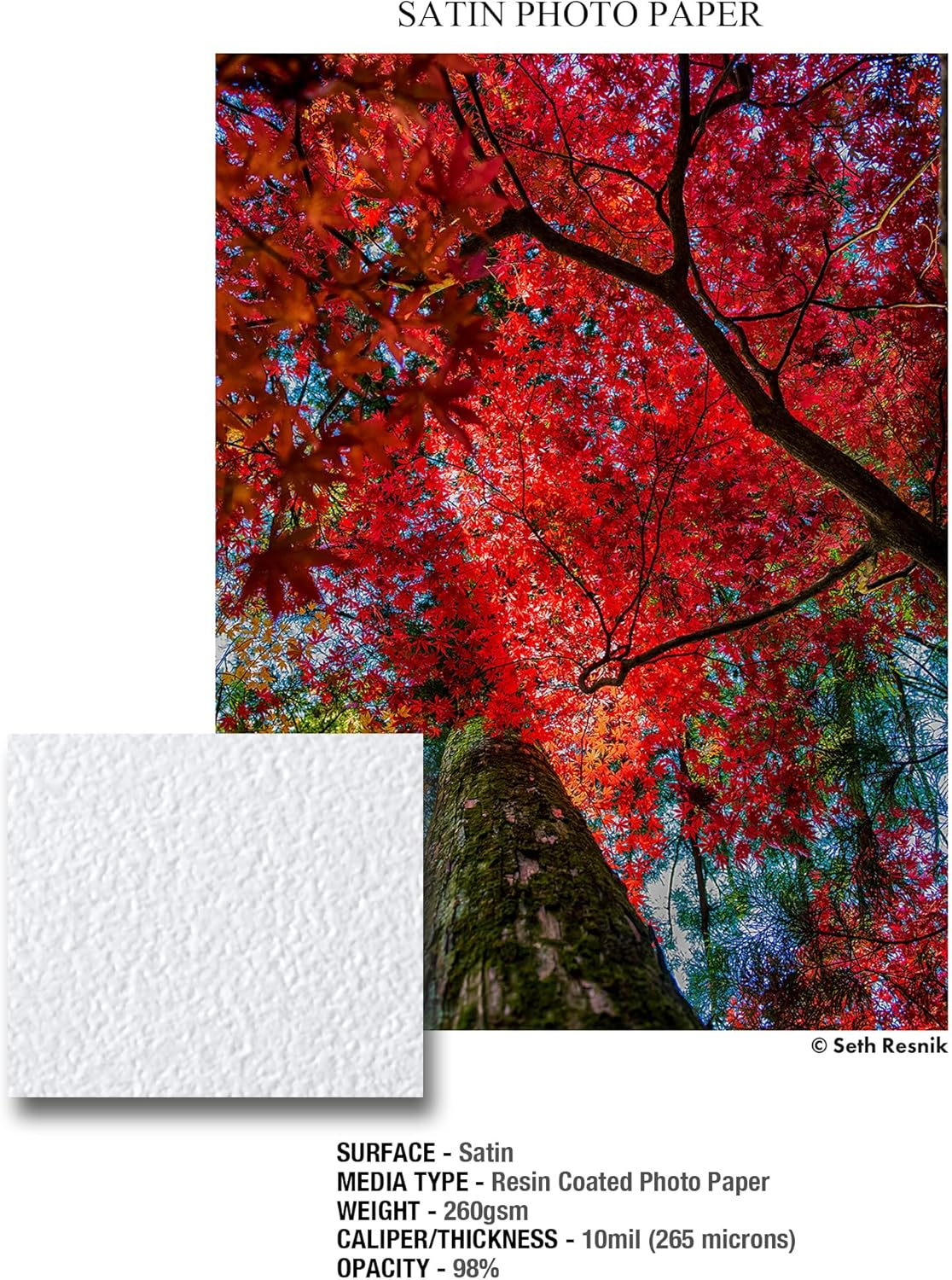 ILFORD Galerie Prestige Lustre 6X4 260GSM - 100 Sheets Professional Galerie Prestige Lustre 6X4 260GSM - 100 Sheets, White (2004021) image number 1