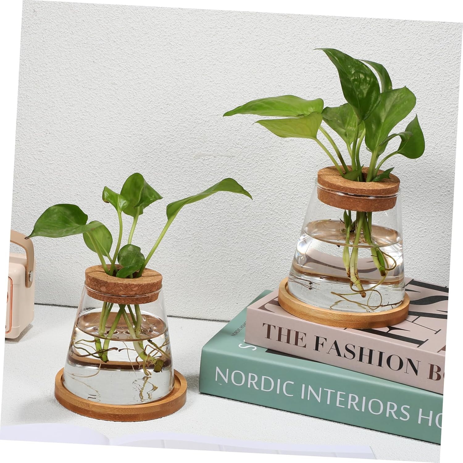 2Pcs Hydroponic Planter Glass Propagation Station with Bamboo Stand and Perforated Wooden Stopper 330Ml for Indoor Water Planting and Terrarium Gardening image number 2