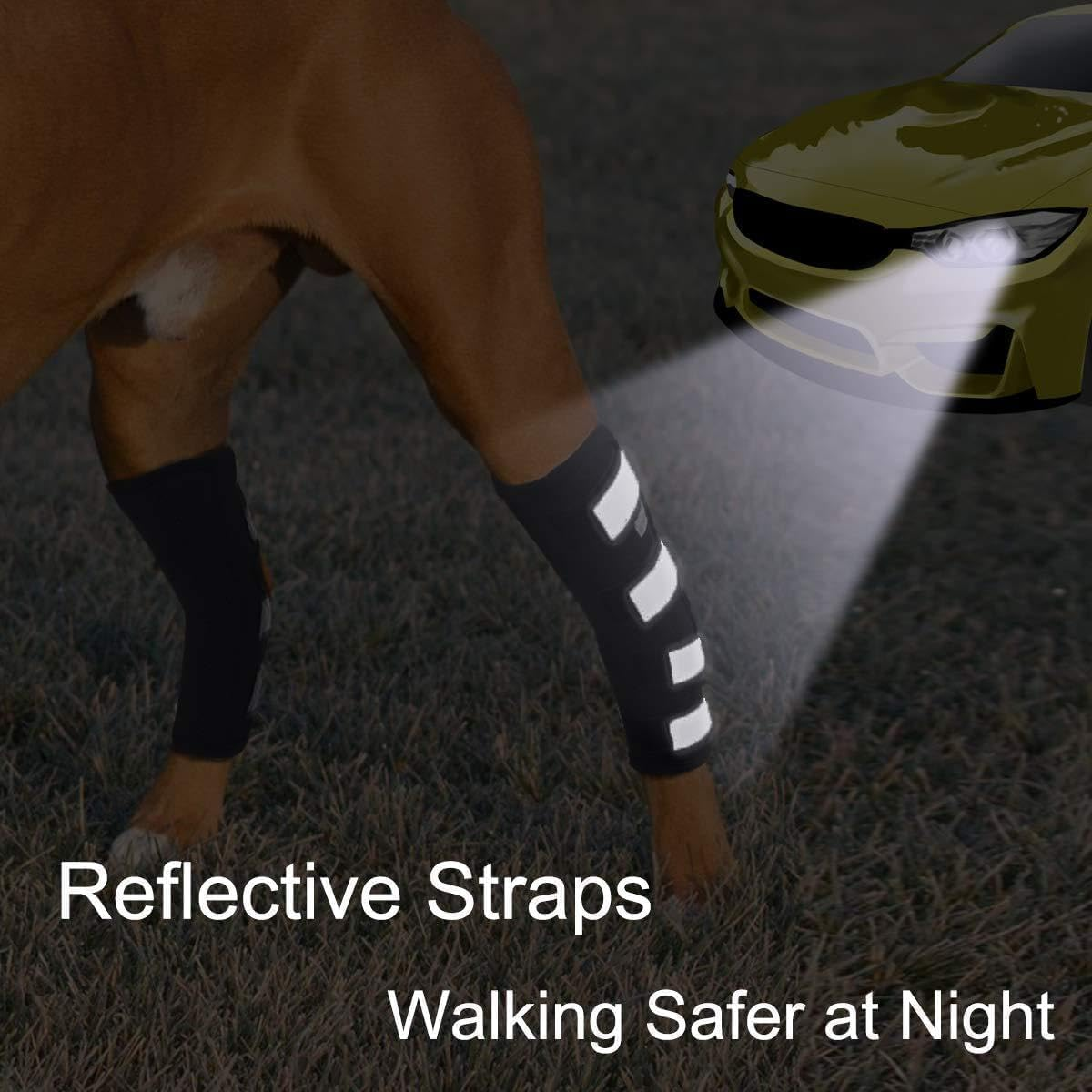 Back Leg Braces for Dogs with Dual Metal Strips and Reflective Straps. This Leg Support Is Designed for Issues like Luxating Patella and Serves as an ACL Support for Hind Legs. (Black, XS) image number 1