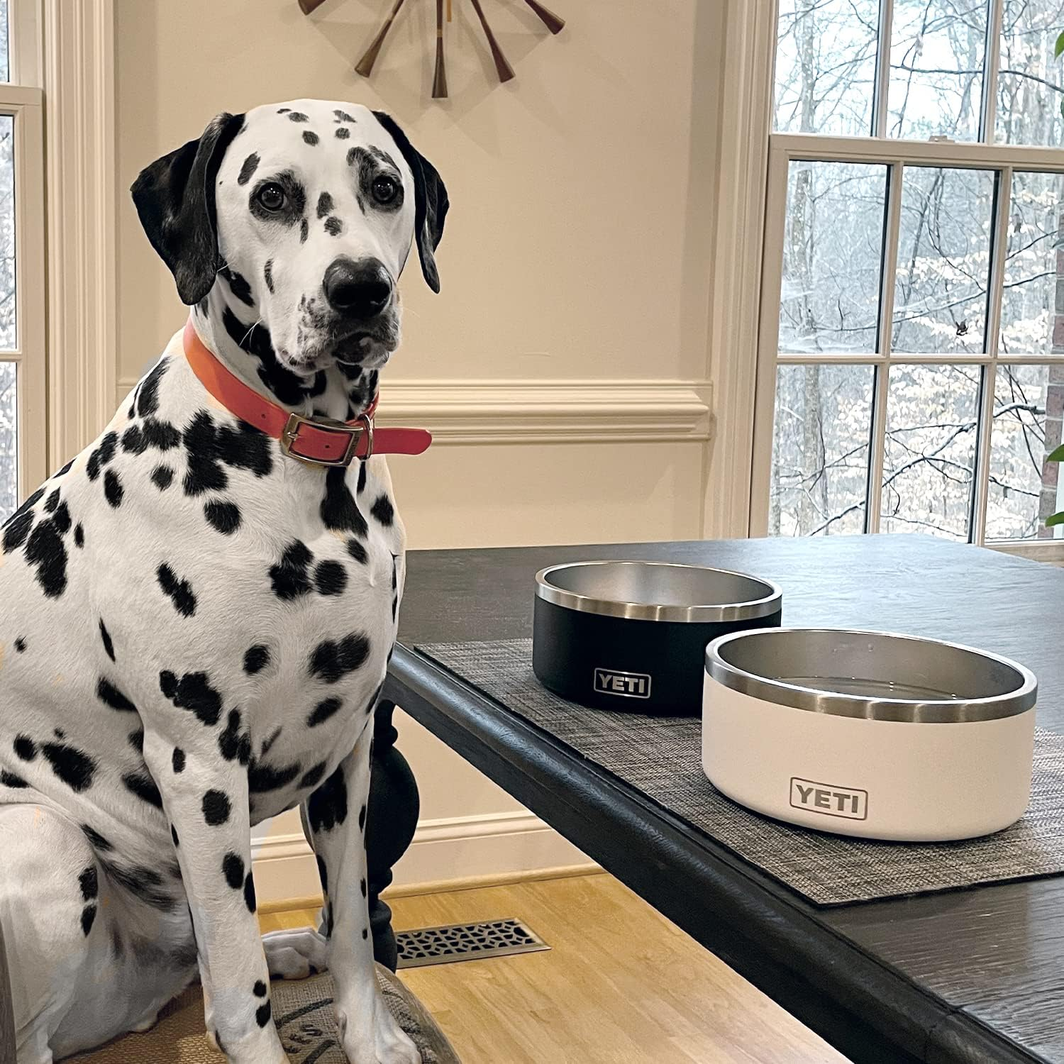 YETI Boomer 8, Stainless Steel, Non-Slip Dog Bowl, Holds 64 Ounces, White - Charcoal image number 5