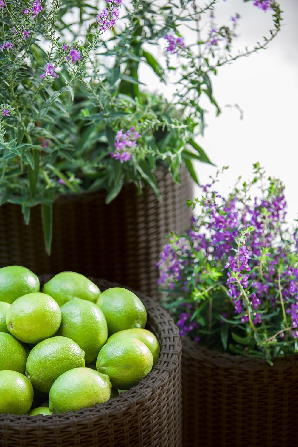 Keter Cylinder Planter, Brown, Small/Medium/Large (Pack of 3) image number 1