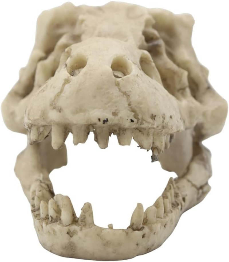 NUZAMAS Dinosaur Skull Skeleton Ornament Resin Artificial Dinosaur Skull Shape Fish Tank Ornament Cave Decoration Hiding Climbing Shelter for Fish Tortoise image number 1