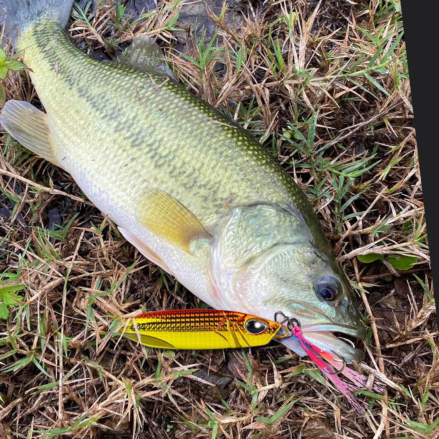 Keencatch 5PCS Fishing Jigs Kit, Great-Action Saltwater Fishing Lures to Catch More Fish, Long Cast Slow Pitch Jig Perfect for Jigging and Surfing image number 2