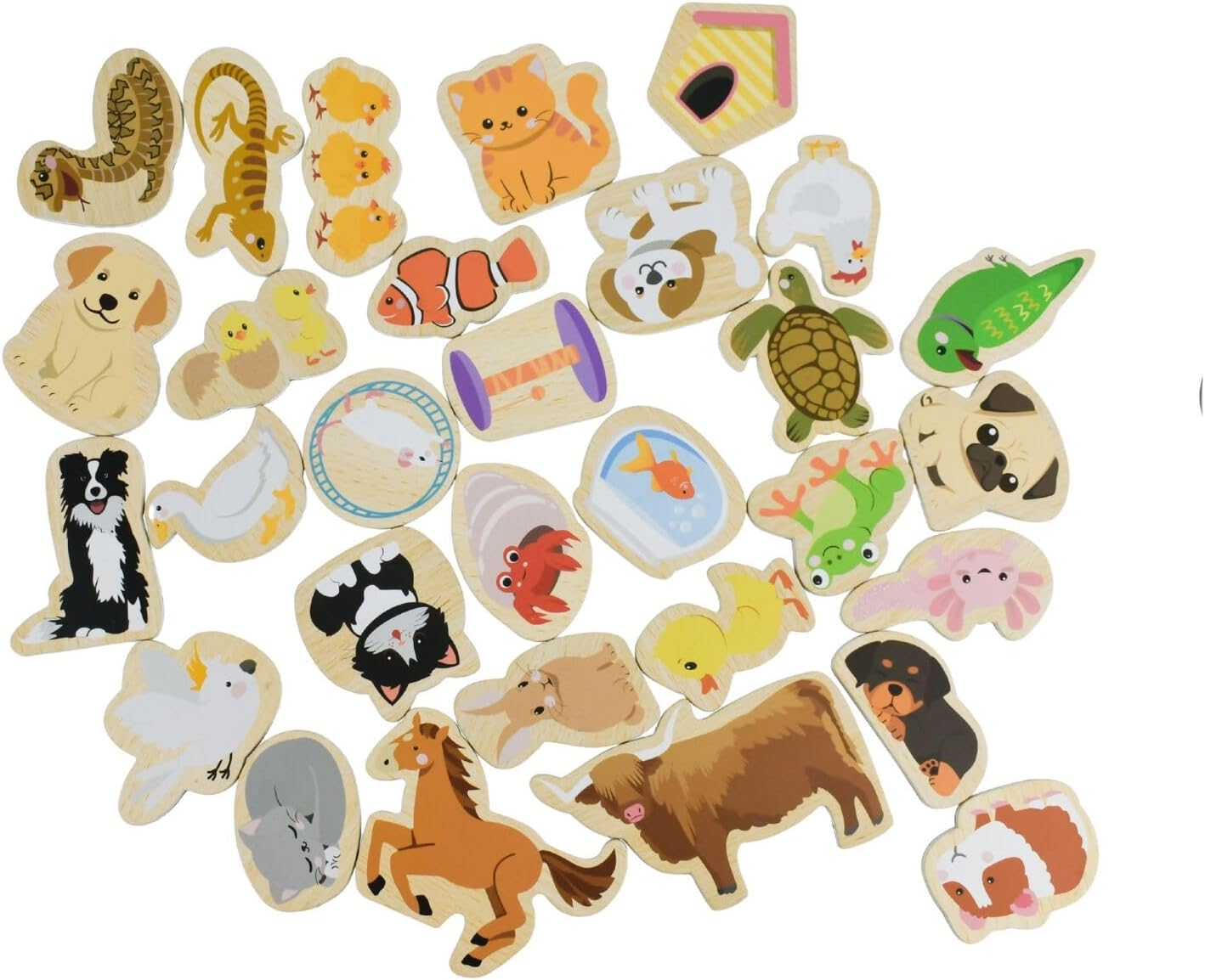 Koala Dream - Fridge Friends Pets Set | 30Pcs Fun Pet-Themed Educational Animal Magnets for Kids image number 5