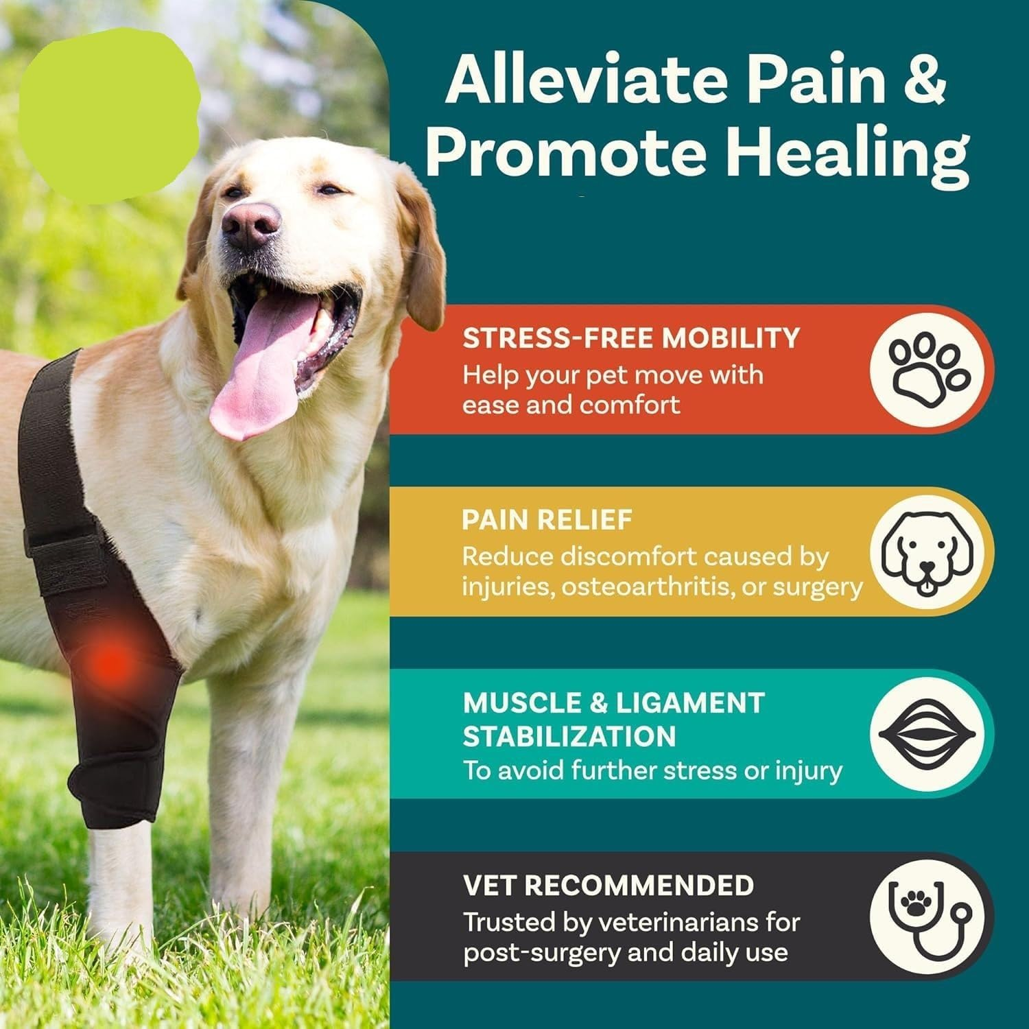 Hind Leg Dog Knee Brace, Cruciate Ligament Care Knee Brace for Dog Hind Legs, Strong Support ACL Support, Reduces Joint Pain and Muscle Soreness, with Side Stabilizer (L, Black) image number 3