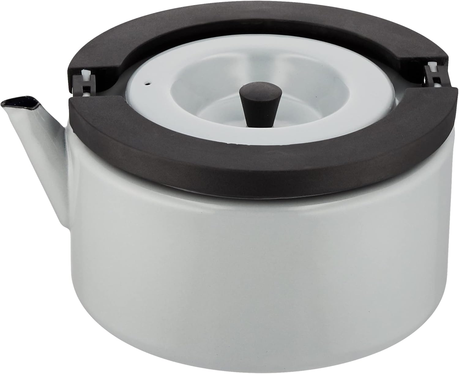 CBJAPAN Stainless Steel Kettle, Induction Compatible, 0.4 Gal (1.7 L), Flat Kettle, with Tea Strainer, Copan