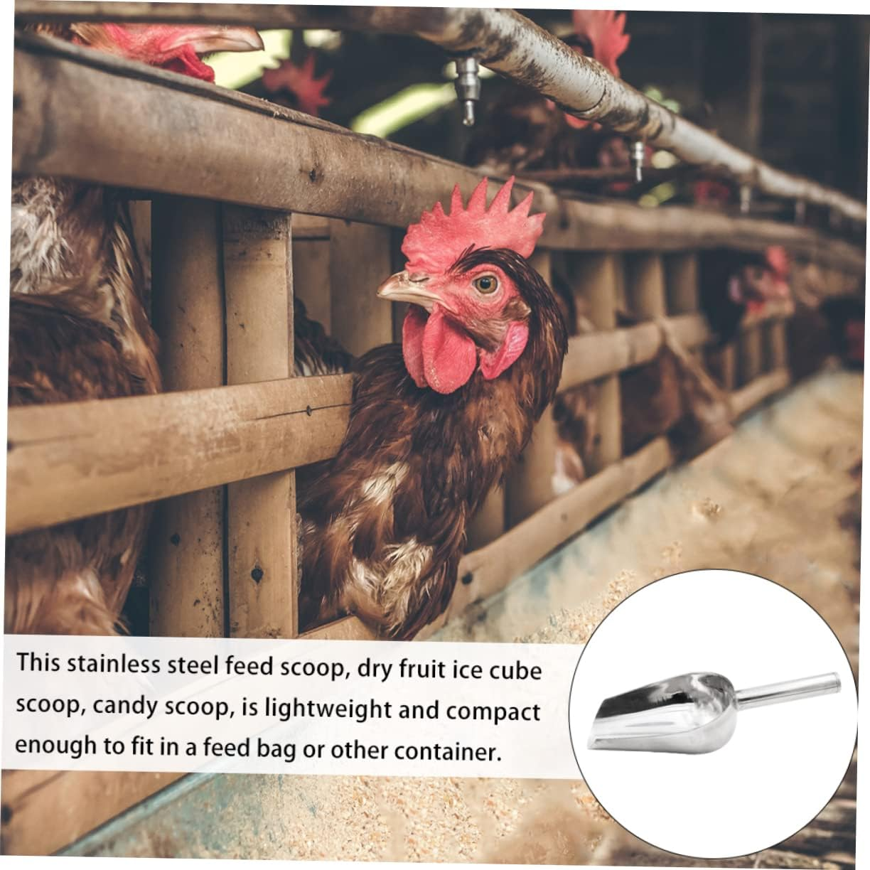 Iplusmile Stainless Steel Feed Scoop Handle Sturdy Grain and Pet Food Distribution Scoop for Livestock and Kitchen Use Multi-Purpose Metal Fodder Scooper image number 3