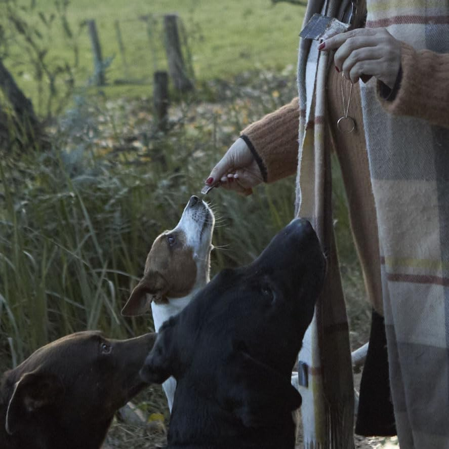 Kazoo Prime Cuts Chicken Liver - 500Gm