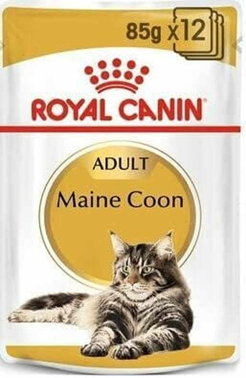 Royal Canin Maine Coon in Gravy Adult over 15 Months Pouches Wet Cat Food 85 GMS 12 Pack image number 1