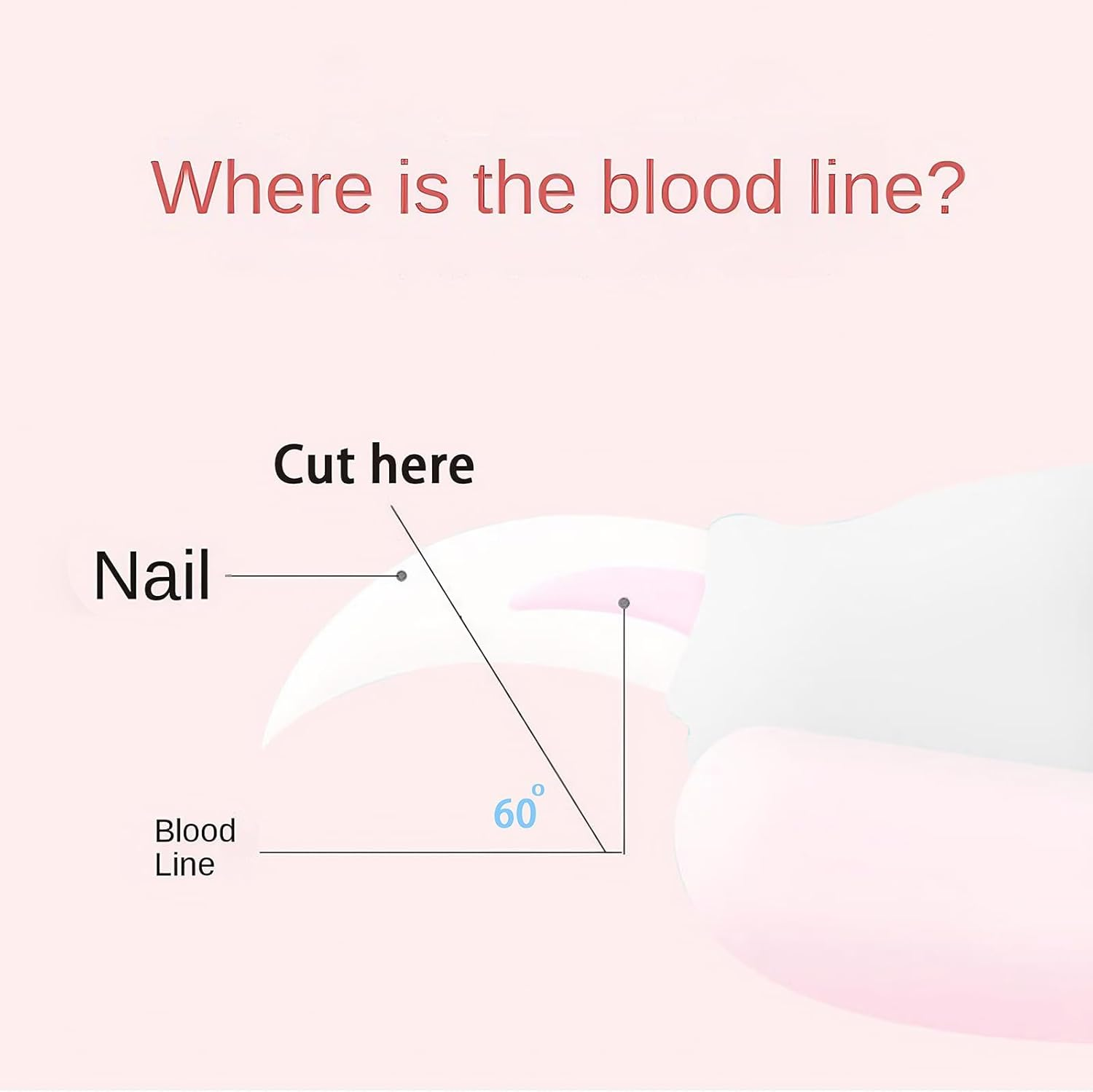 Dog & Cat Nail Clippers and Trimmers &ndash; Professional Pet Grooming Tool with Safety Guard, Razor-Sharp Blade & Free Nail File image number 3