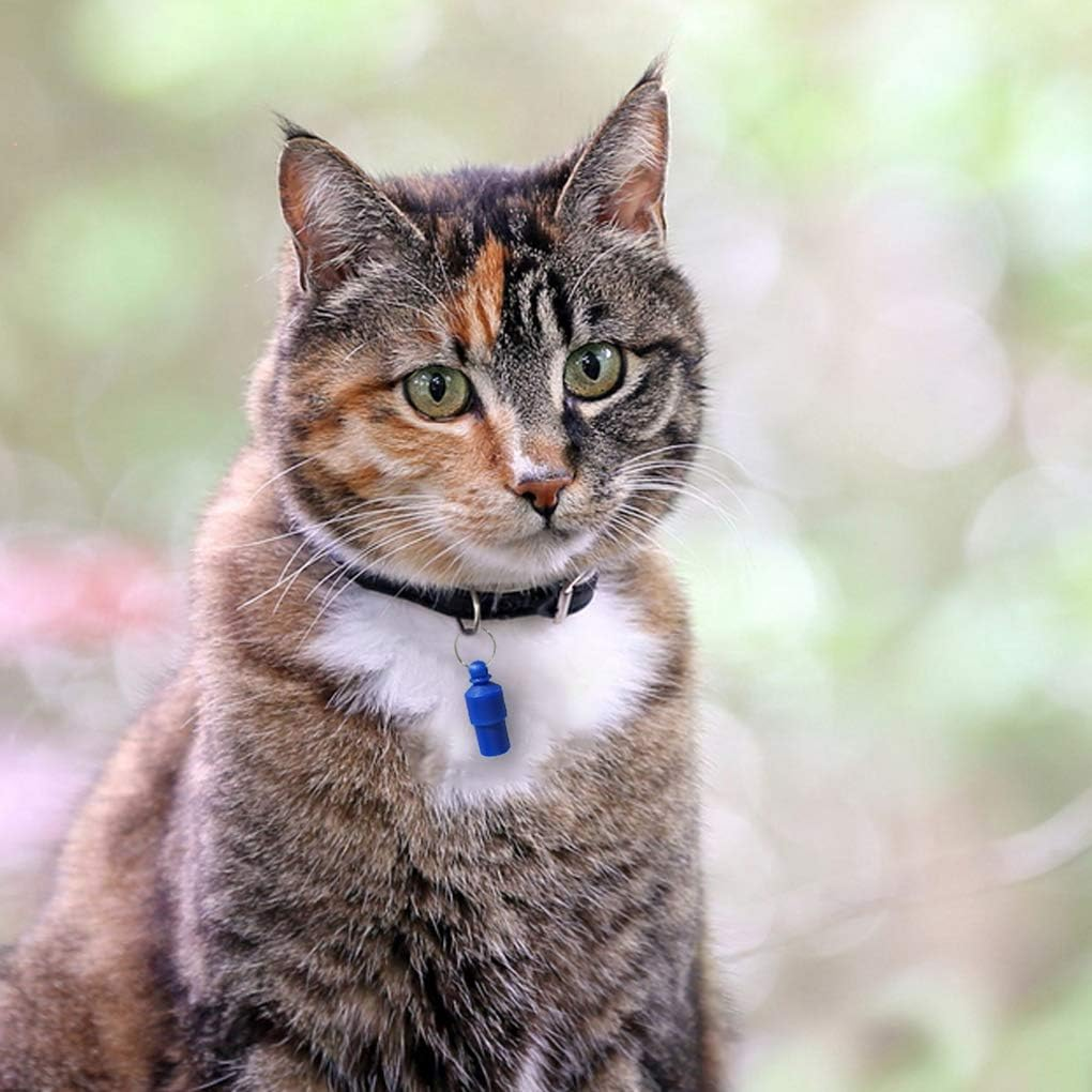 Pet ID Tags for Cat Small Dog Puppy ID Tag Capsule Shape, Quiet No Noise Waterproof Dog ID Bullet No Public Your Info, Address Name Label Tube Prevent Pet Lost (Multi-Colored,Plastic,6Pcs)