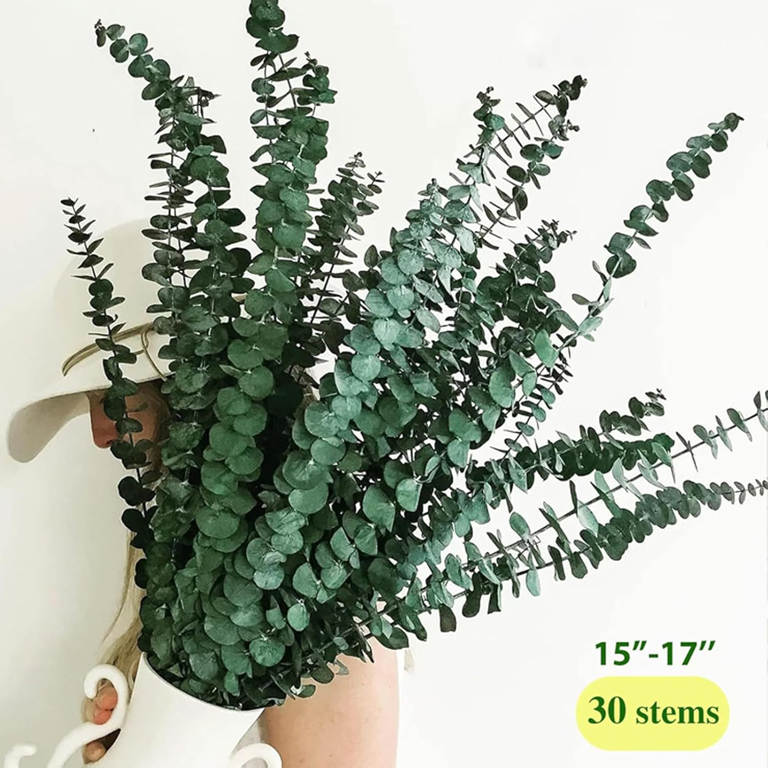 Dry Storage Large Packaging Eucalyptus Leaves - 30 PCS 16" True Leaf Branches - Dried for Shower Hanging, Flower Arrangement, Home Decor image number 3