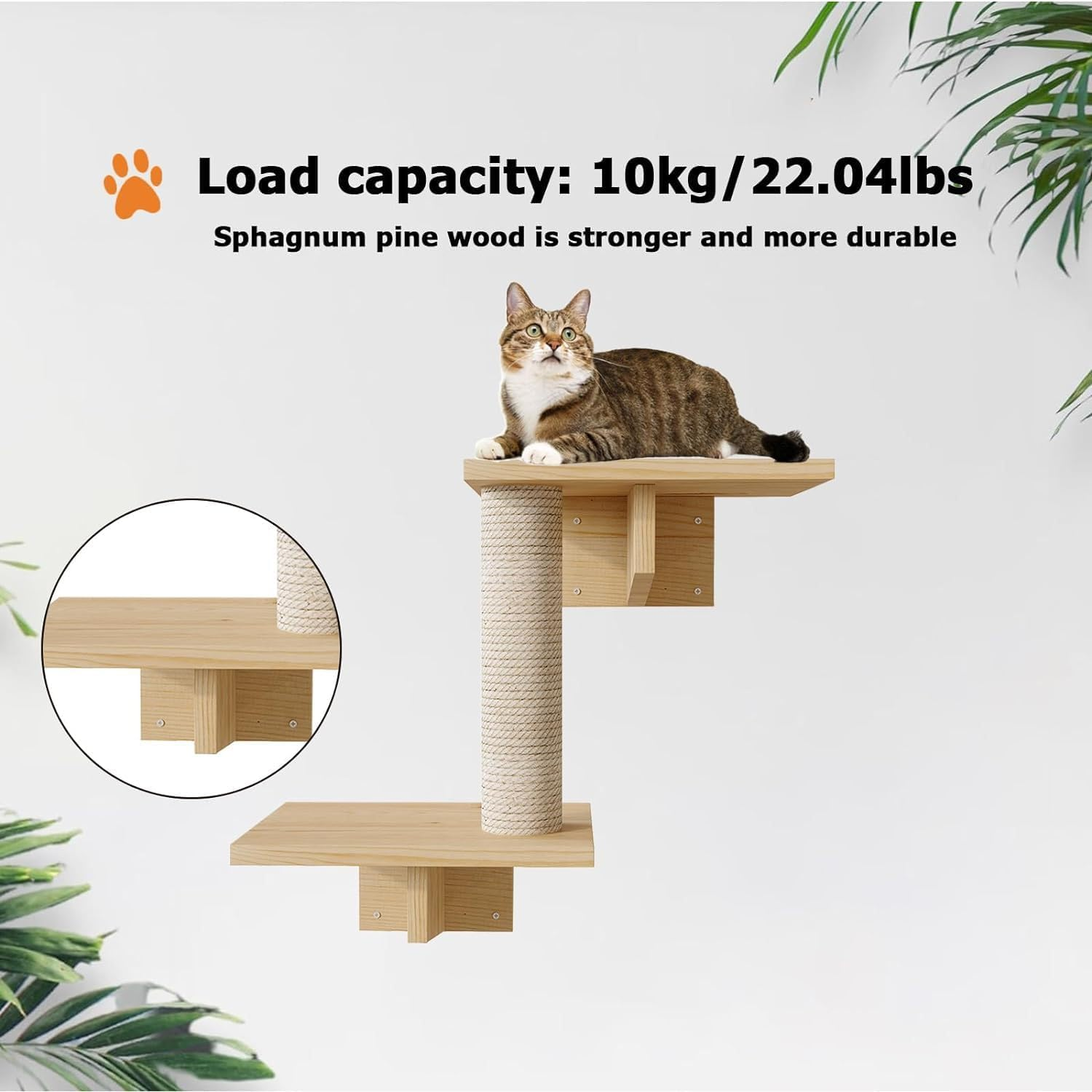 Cat Wall Shelves Set of 9 &ndash; Modern Wall-Mounted Climber with House, Steps & Scratcher &ndash; Furniture for Large Indoor Cats &ndash; Natural Wood image number 3