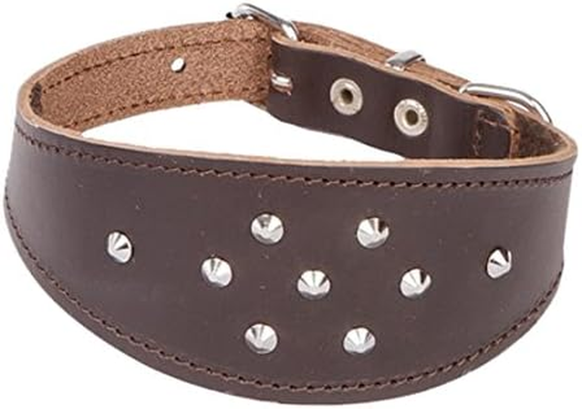 Dingo Decorative Black Leather Collar with Studs for Hound, Whippet, Pariah, Sighthound, Pointer and Other Gun Dog Breeds 12384