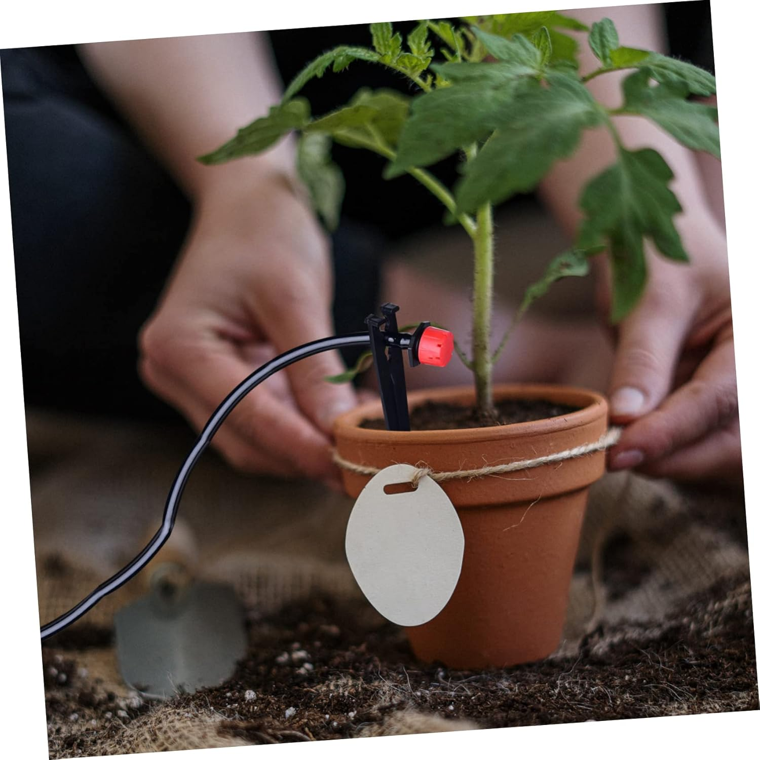 KONTONTY 100Pcs Gardening Drip Irrigation Supplies Plastic Ground Spikes Fixing Ground Stakes for Plant Supports