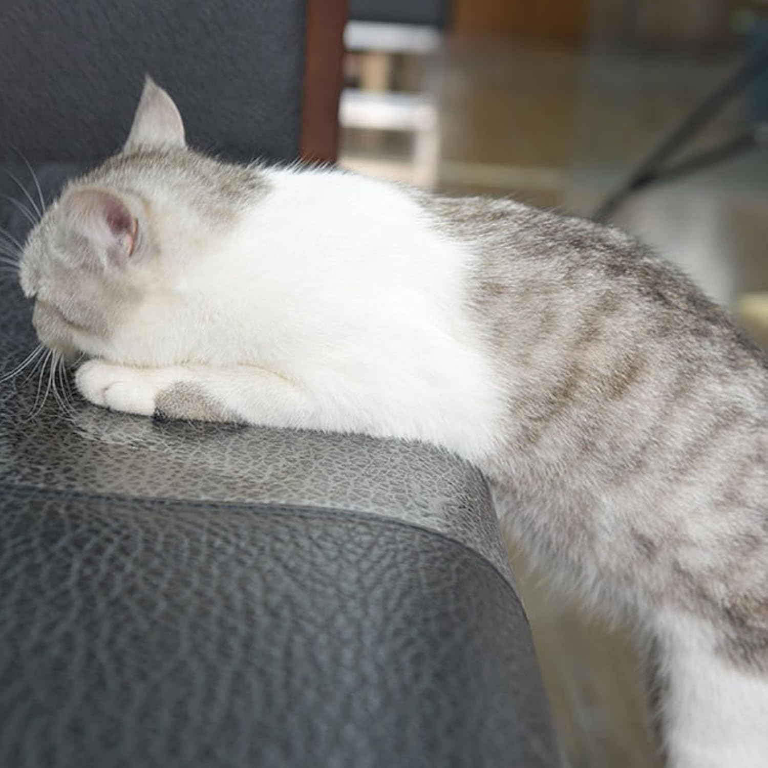 10Pcs Cat Scratch Furniture Protector, Transparent PVC Cat Scratch Furniture Protector Tape, Cats Scratching Sticky Tapes Cat Scratching Pad Pet Training Tape for Furniture Sofa Couch Corner Door(Xl) image number 2