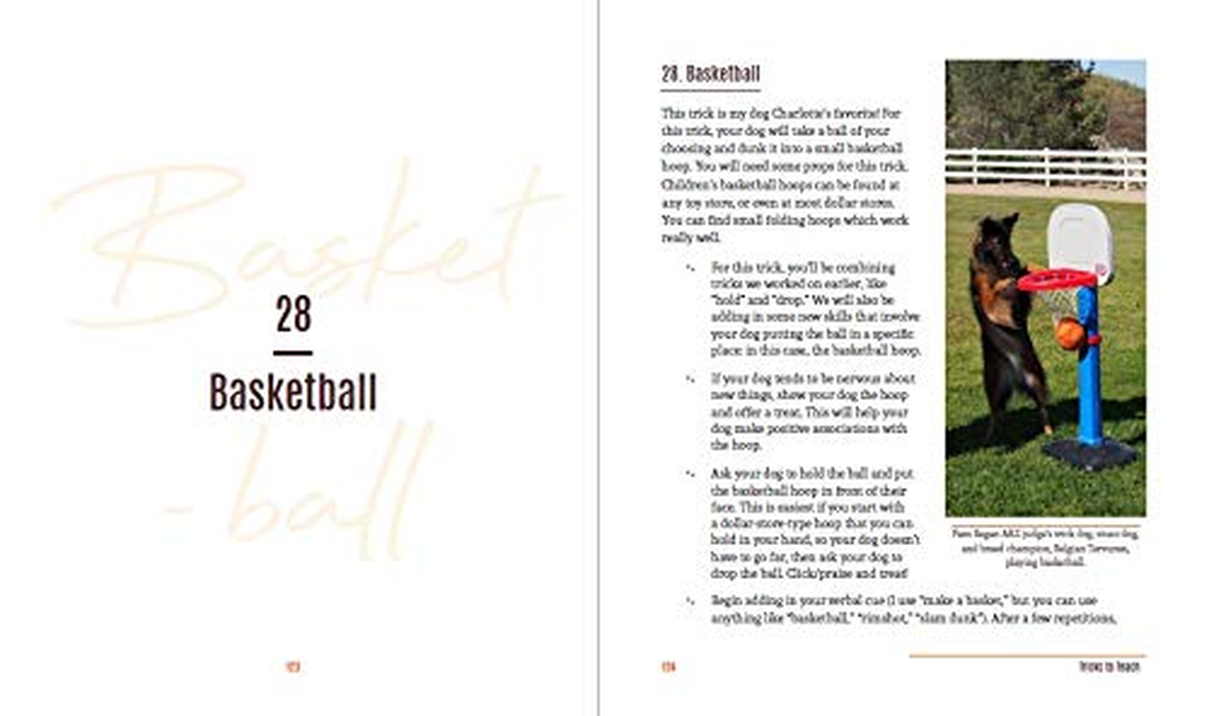 Tricks in the City: for Daring Dogs and the Humans That Love Them (Trick Dog Training Book, Exercise Your Dog) image number 3