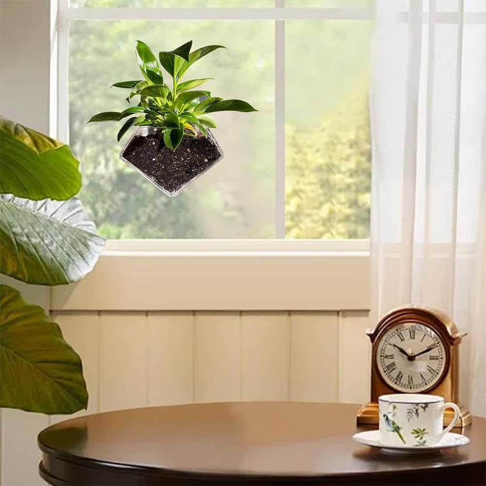 NYGHMY 1 Pcs Diamond Shape Acrylic Window Planter - Transparent Suction Cup Pot for Succulents, Herbs, and Indoor Gardens