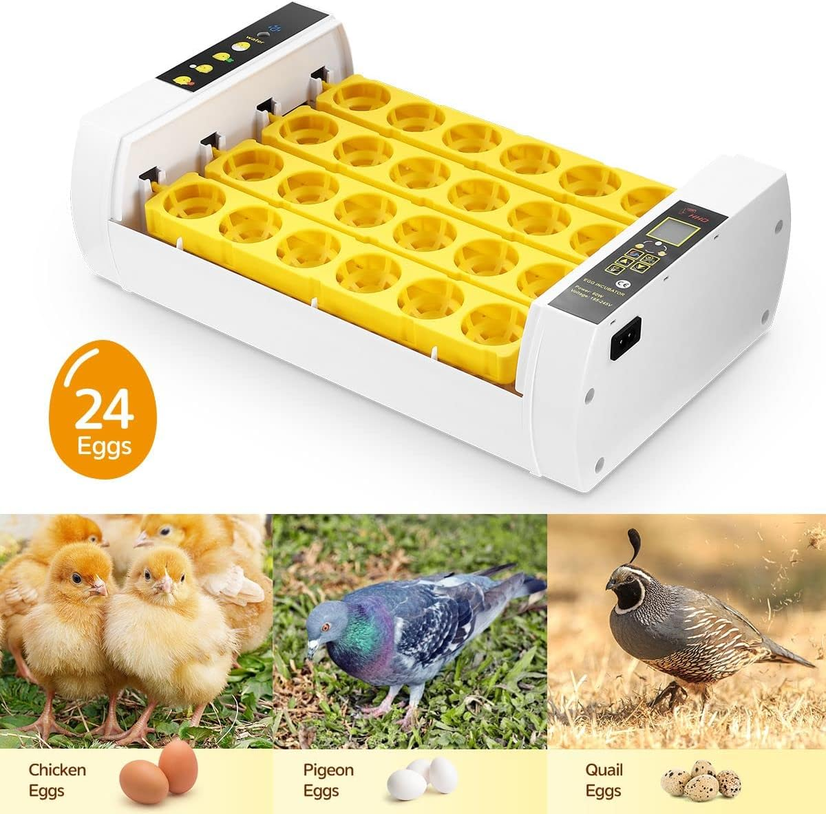 Pet Scene 24 Eggs Digital Egg Incubator Automatic Turning Home Farm Hatching Chicken Pigeon Quail Eggs with LED Candling Lamps image number 5