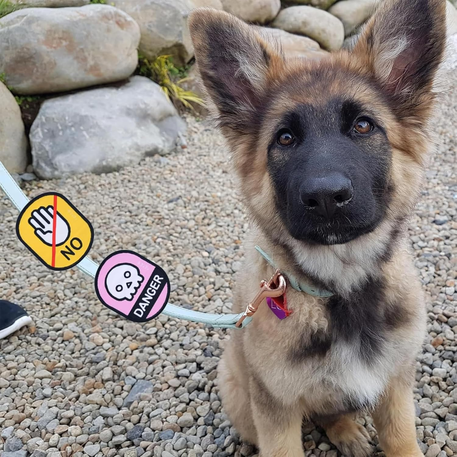 2Pcs/Set Outdoor Pet Dog Social Identity Badge, Dog Funny ID Tags Patch, Tear Resistant Dog Social Recognition Decals,Removable Waterproof Pet Social Labels for Dog Lover(No Touch+Danger) image number 1