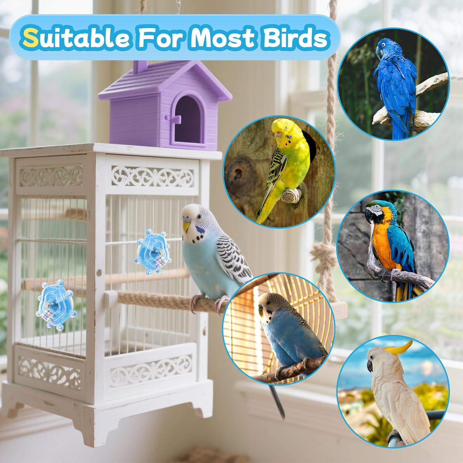 2 Colors Bird Toys for Parrots, Small Bird Cage Toys with Spinning Rattle, Hanging Roller Parakeet Cage Accessories for Chewing Exercise, Budgie Entertainment (Pink and Blue)
