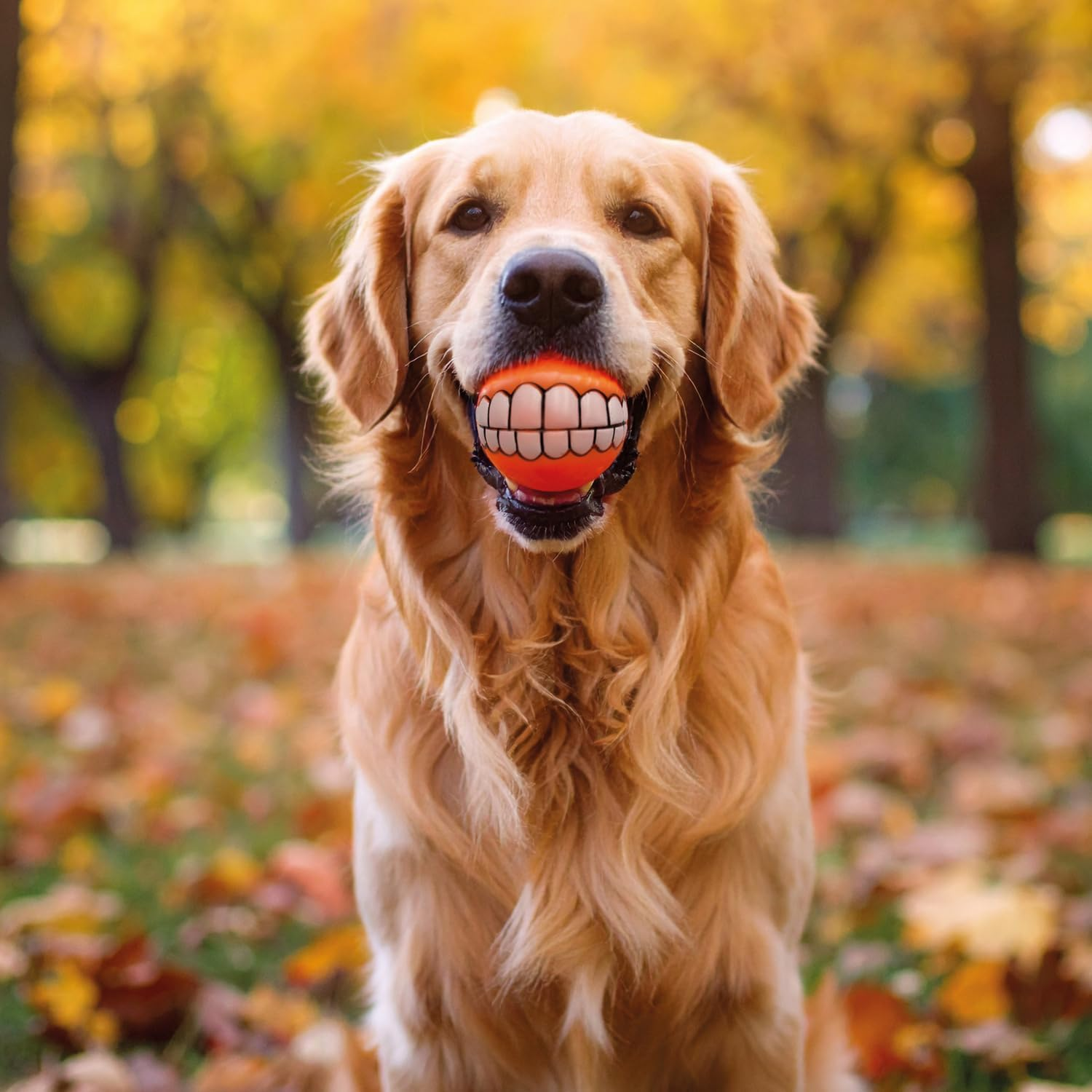 3 Pagen Dog Toys Set of 2 - Chew Toy for Dog 2 Pieces - Funny Pet Toy with Teeth & Squeaky Function - Smile Ball for Throwing & Fetch - Promotes Exercise & Chew Training image number 1