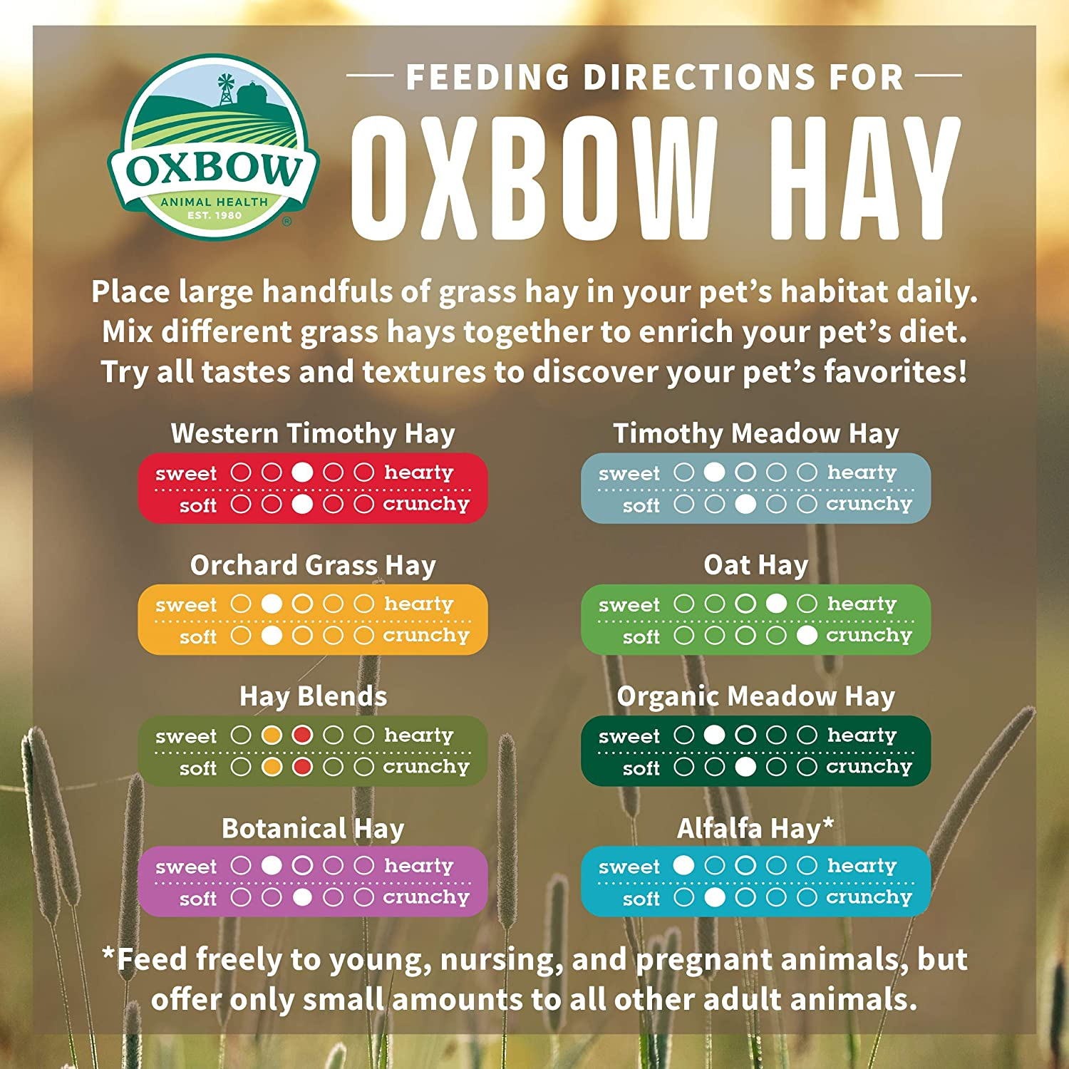 Oxbow Animal Health Hay Blends, Western Timothy & Orchard, Guinea Pig Hay, Small Pet Bunny Supplies, All Natural Grass for Guinea Pig & Rabbit, Oxbow Rabbit Supplies for Bunnies, 2.55Kg