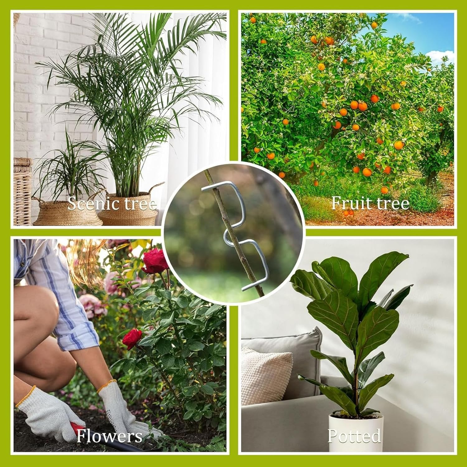 20 PCS Tree Branch Support Limb Spreaders Fruit Puller Tool - Branch Bender, Spreader, Picker for Plants - Garden Training, Tying, Bending Tools - Efficient Removal, Grafting, Young Sapling Support image number 1