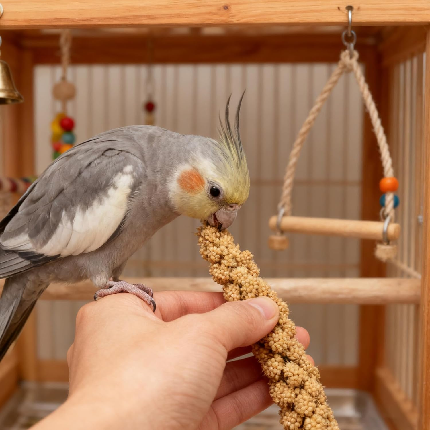 Abaodam Millet Treat for Parakeets and Budgies 500G Natural Dried Millet Sticks Bird Snack Food for Cockatiels Finches Small Pet Supplies image number 3