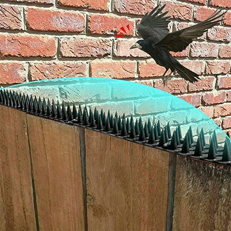 12Pc Bird Spikes Human Cat Possum Mouse Pest Control Spiked Fence Wall image number 3