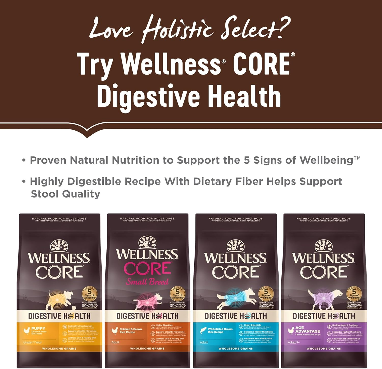 Holistic Select Natural Grain Free Dry Dog Food, Adult & Puppy Salmon, Anchovy & Sardine Recipe, 10.88Kg Bag image number 4