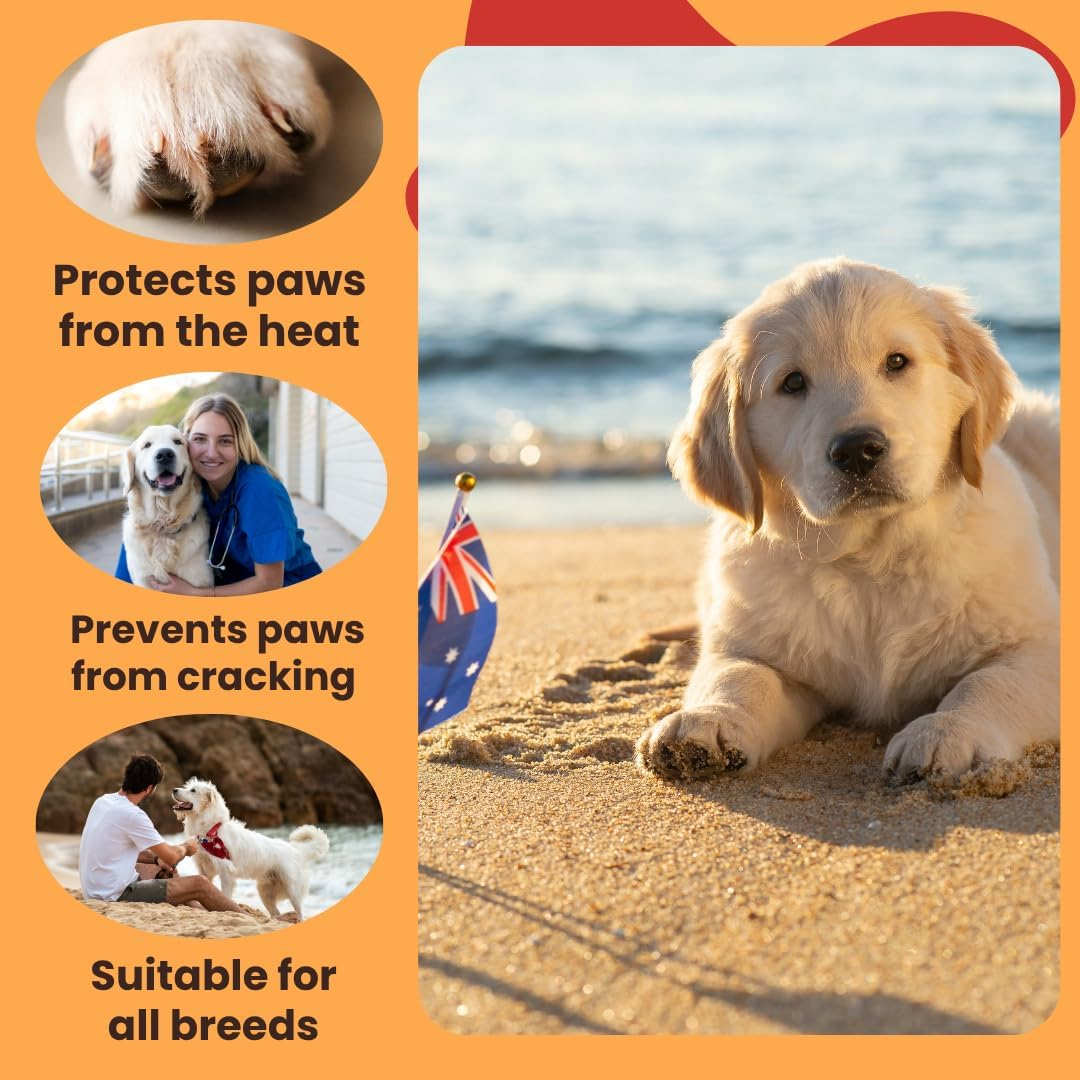 TOASTIE&rsquo;S Dog Paw Balm for Summer | Natural Moisturiser for Dry, Cracked Paws | Protects from Hot Footpaths, Sun & Heat | Lick-Safe & Non-Greasy image number 6
