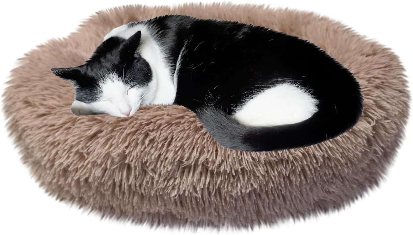 Whiskers & Friends Cat Bed, Cat Beds for Indoor Cats, Washable, for Small Cat Bed, Large Cat Bed, Kitten Bed, Small Dog Bed, Anti-Anxiety Calming Pet Bed, Cat Beds &
