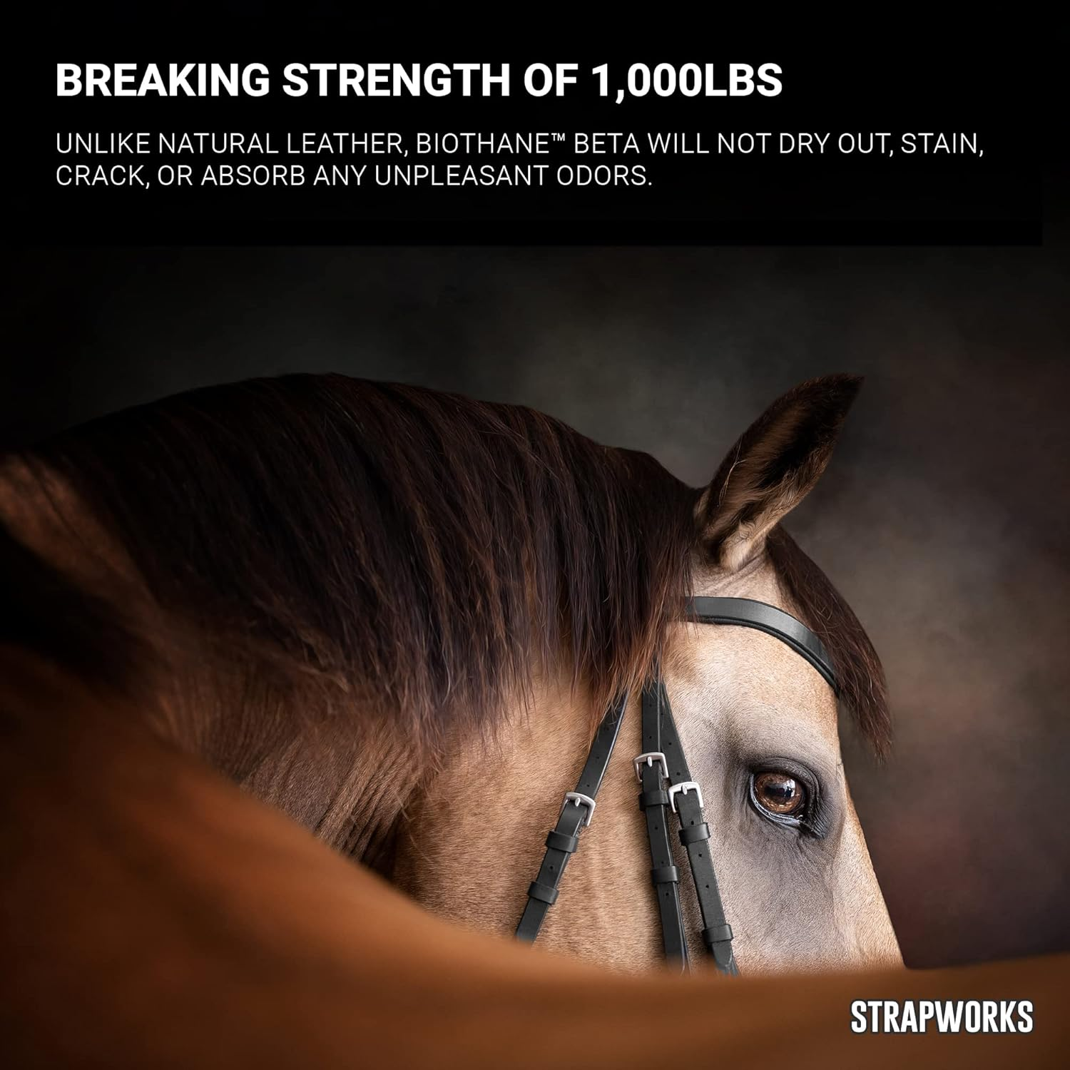 Strapworks Biothane Beta Series Coated Webbing, 1 Inch X 100 Feet, Black image number 4