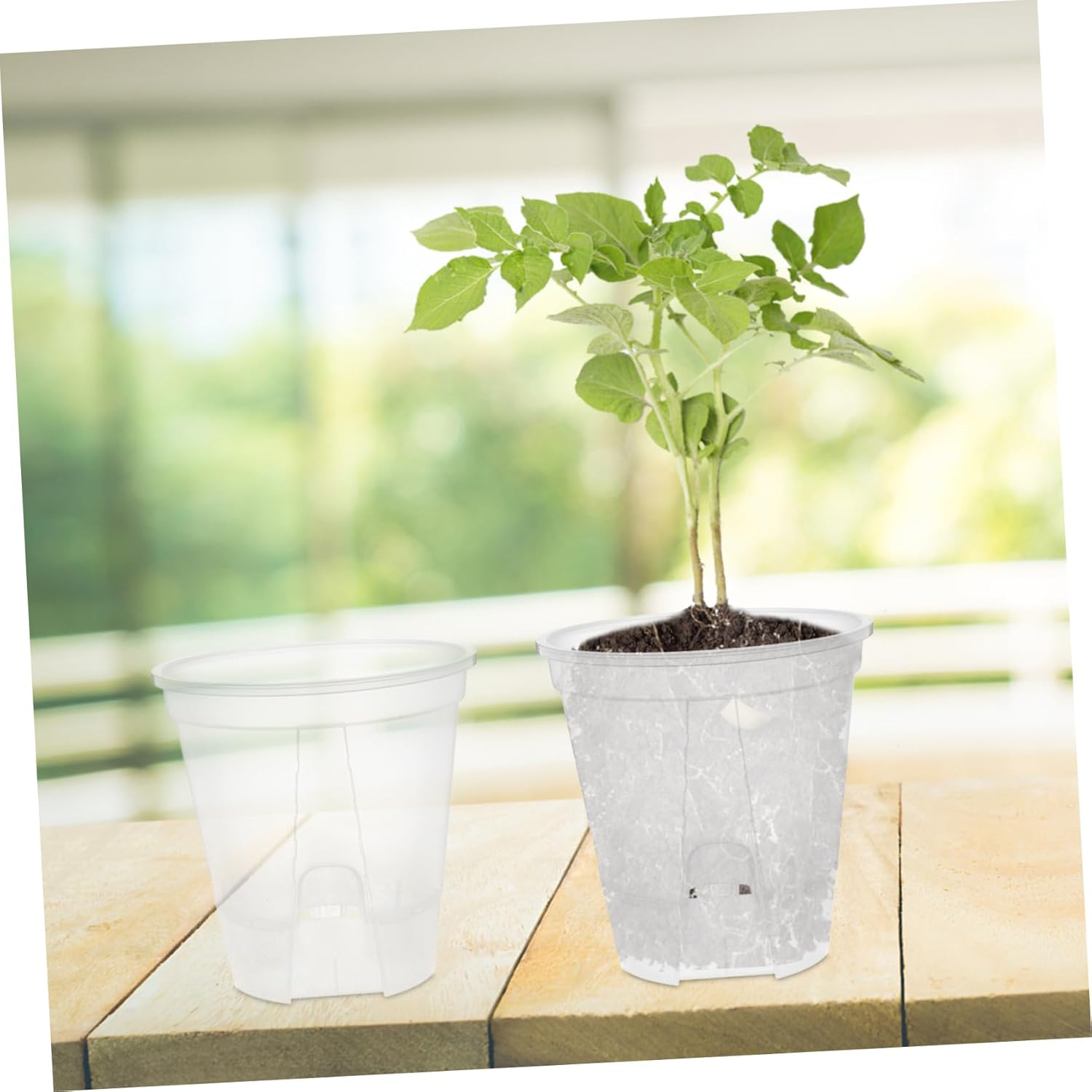 Outanaya 6Pcs Clear Pots with Holes for Indoor Plants Self-Drainage Transparent Planter for Healthy Growth and Ample Water Supply for Greenhouse and Home Gardening image number 5