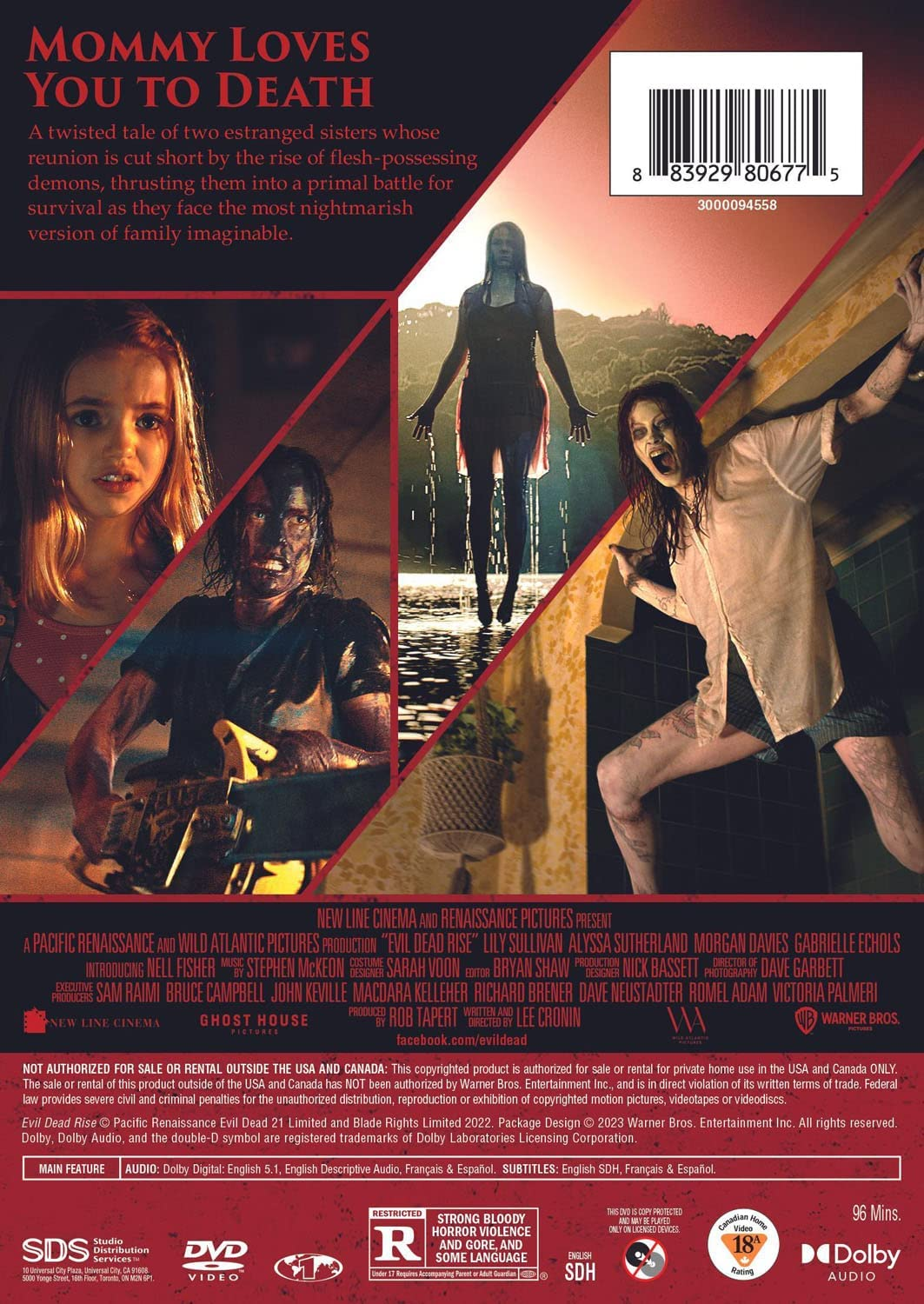 Evil Dead Rise (DVD) image number 5