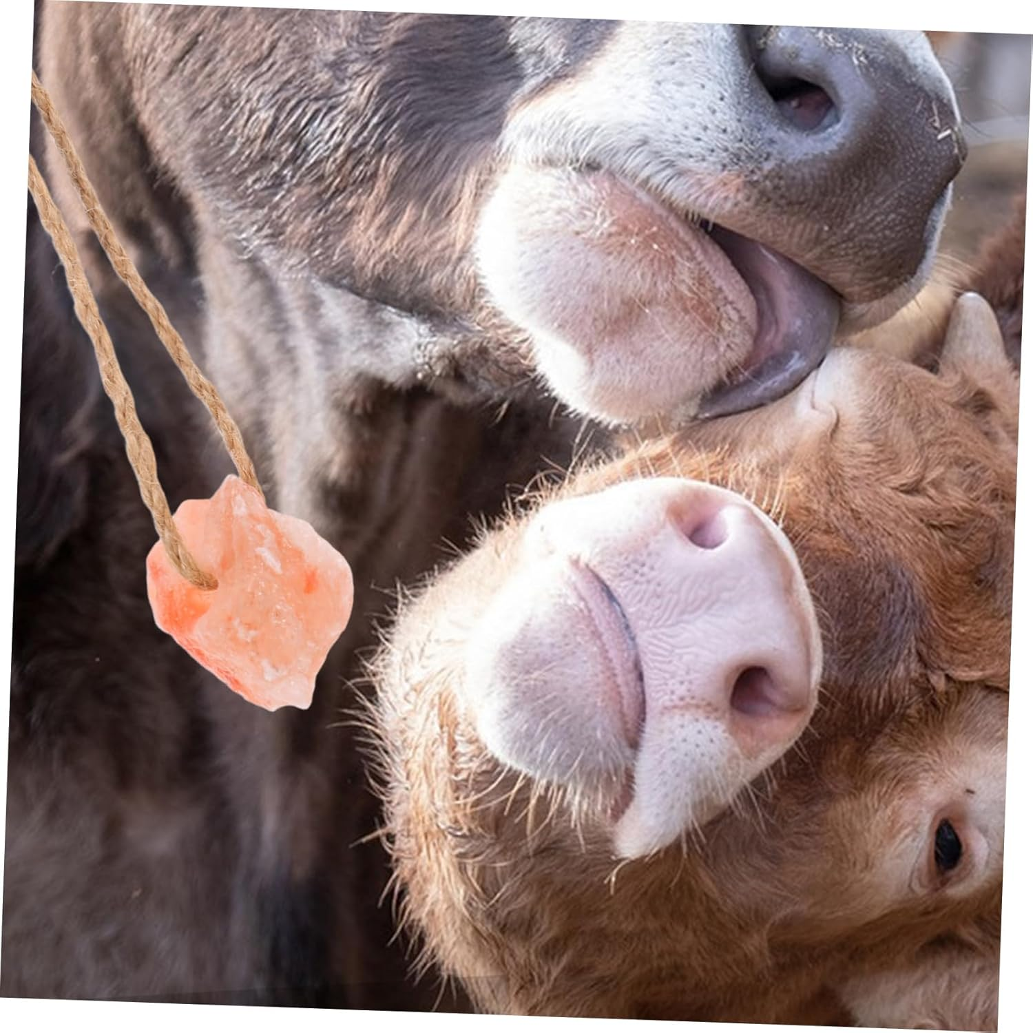 HANABASS Horse Goat Mineral Block Set 4Pcs Salt for Livestock Rich in Minerals Easy Handling for Farm Animals