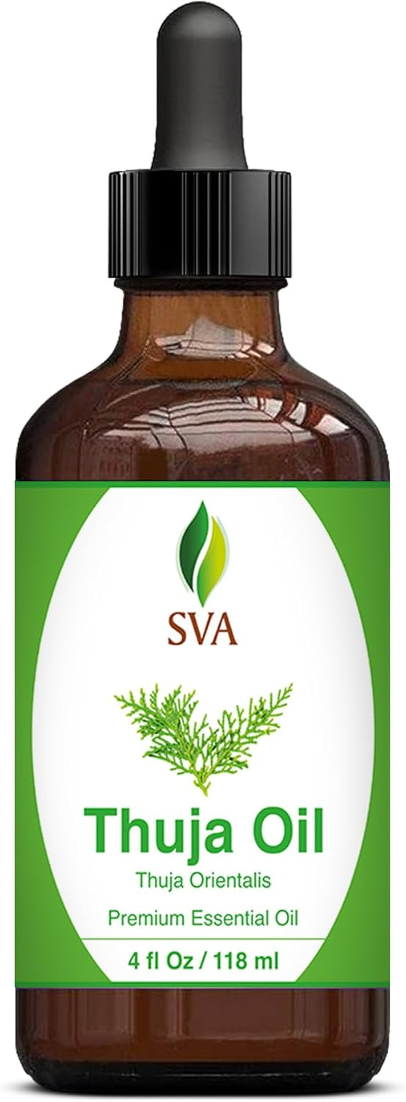 SVA Organics Thuja Oil (118 Ml) 4 Ozguranteed 100% Pure & Natural, Hexane Free, Authentic & Premium Therapeutic Grade Oil for Aromatherapy, Hair Care, Skin Care, Glowing Skin by SVA Organics image number 2