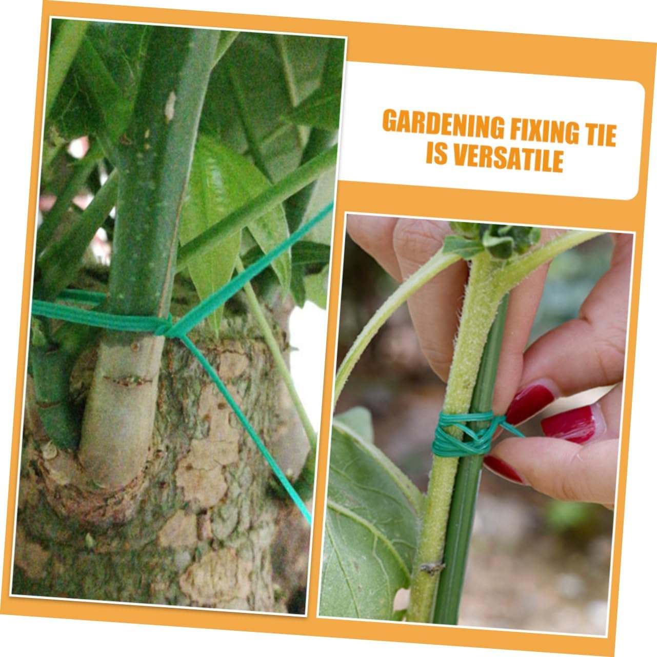 Yardwe Gardening Wire Ties Plant Ties for Vines Fruits DIY Fixing Straps Flexible Plant Branch Fixing Garden Supplies image number 4