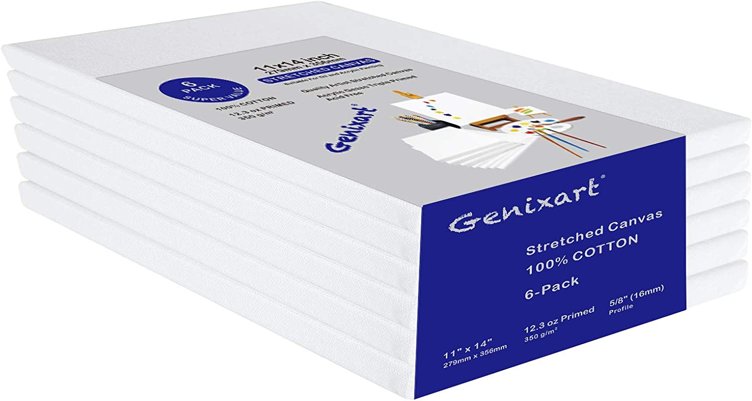 Genixart White Blank Stretched Canvas, Primed Professional Artist Canvases for Acrylics & Oils Painting (28X36Cm / 11" X 14" (6Pack)) image number 1