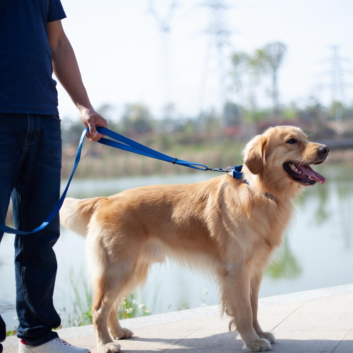 Hyhug Pets Premium Upgraded Adjustable between 4 Feet and 6 Feet Leash with Sturdy Nylon and Super Soft Neoprene Lined Handle for Medium Large Giant Dogs Lead. (Small, Classic Blue) image number 3
