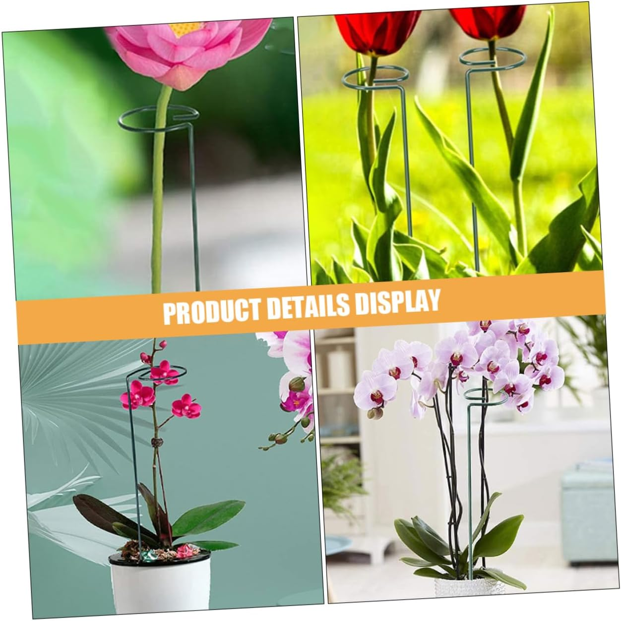 CAXUSD 12Pcs Plant Climbing Support Frame Garden Stakes for Gardening Climbing Plant Trellis Netting Stainless Steel Supports image number 5