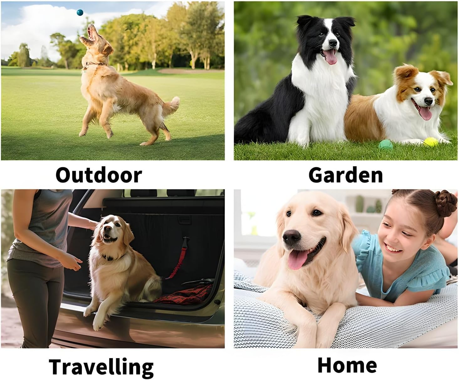 12Pcs Pet Wipes Gloves with Easy & Effective Cleaning, Pet Disposable Wipes with Deep Cleansing &Nourishing Hair, Safe for Pets