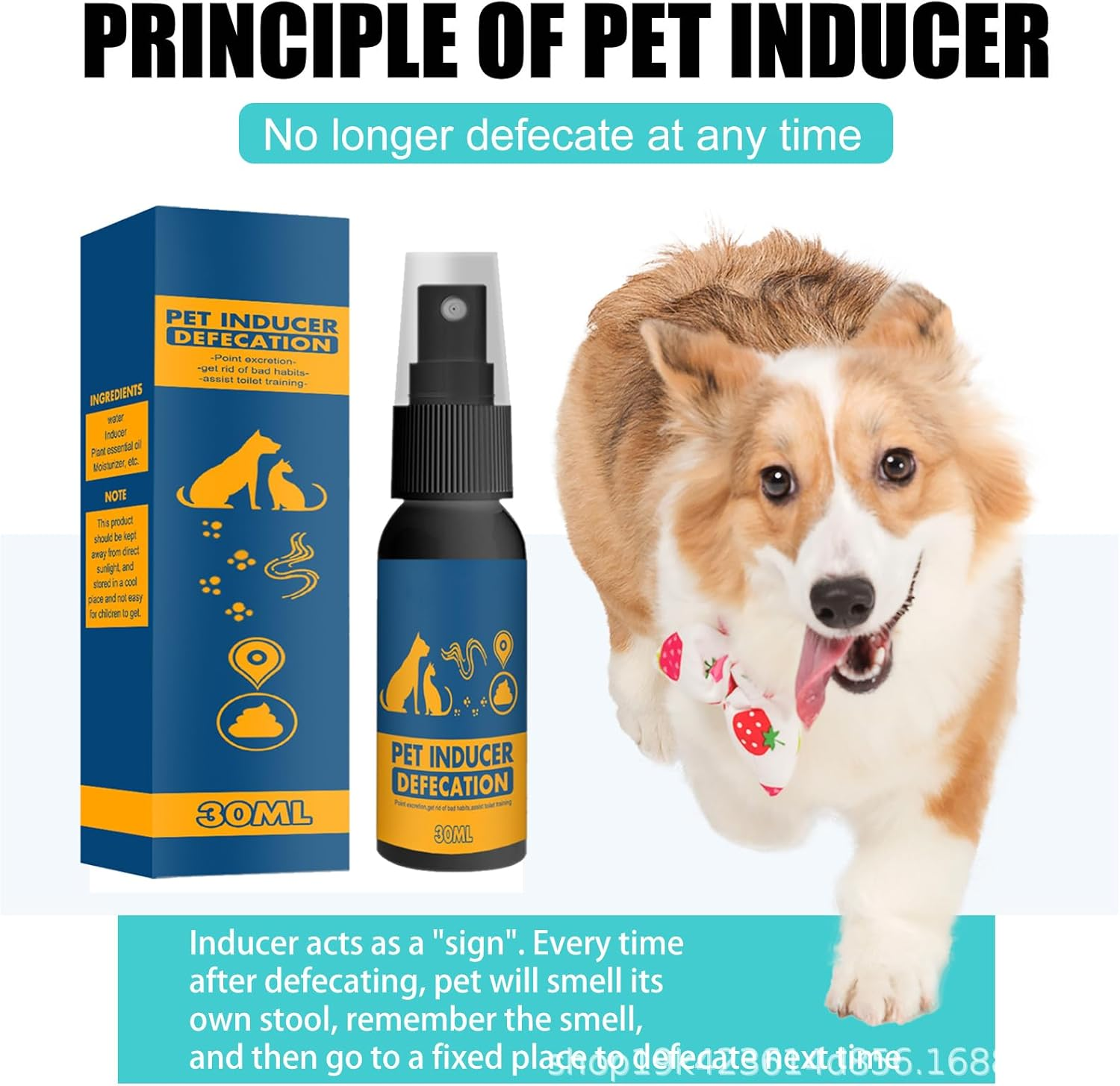 Dog Potty Training, Potty Training Spray for Dogs, Dog Pee Spray Training, Attractant Spray for Dogs Helps, Dog Toilets Training Aid for Indoor and Outdoor Use, Potty Here Training Spray image number 4