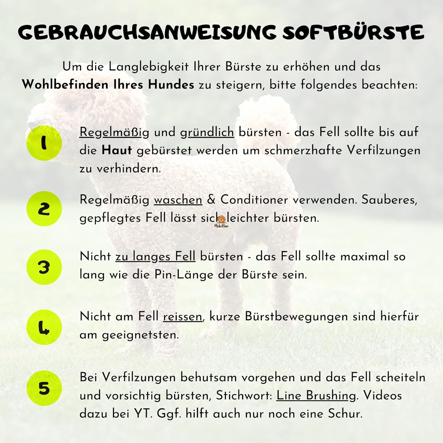 Moki Bear Soft Brush Dog Brush Poodle with Protective Nubs for Particularly Sensitive Animals I Ideal for Non-Hairy Dogs I Small image number 5