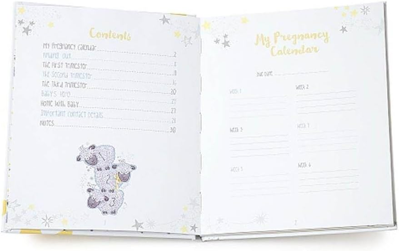 Me to You Tiny Tatty Teddy Pregnancy Journal, 0.2 Kg AGE92006 image number 4